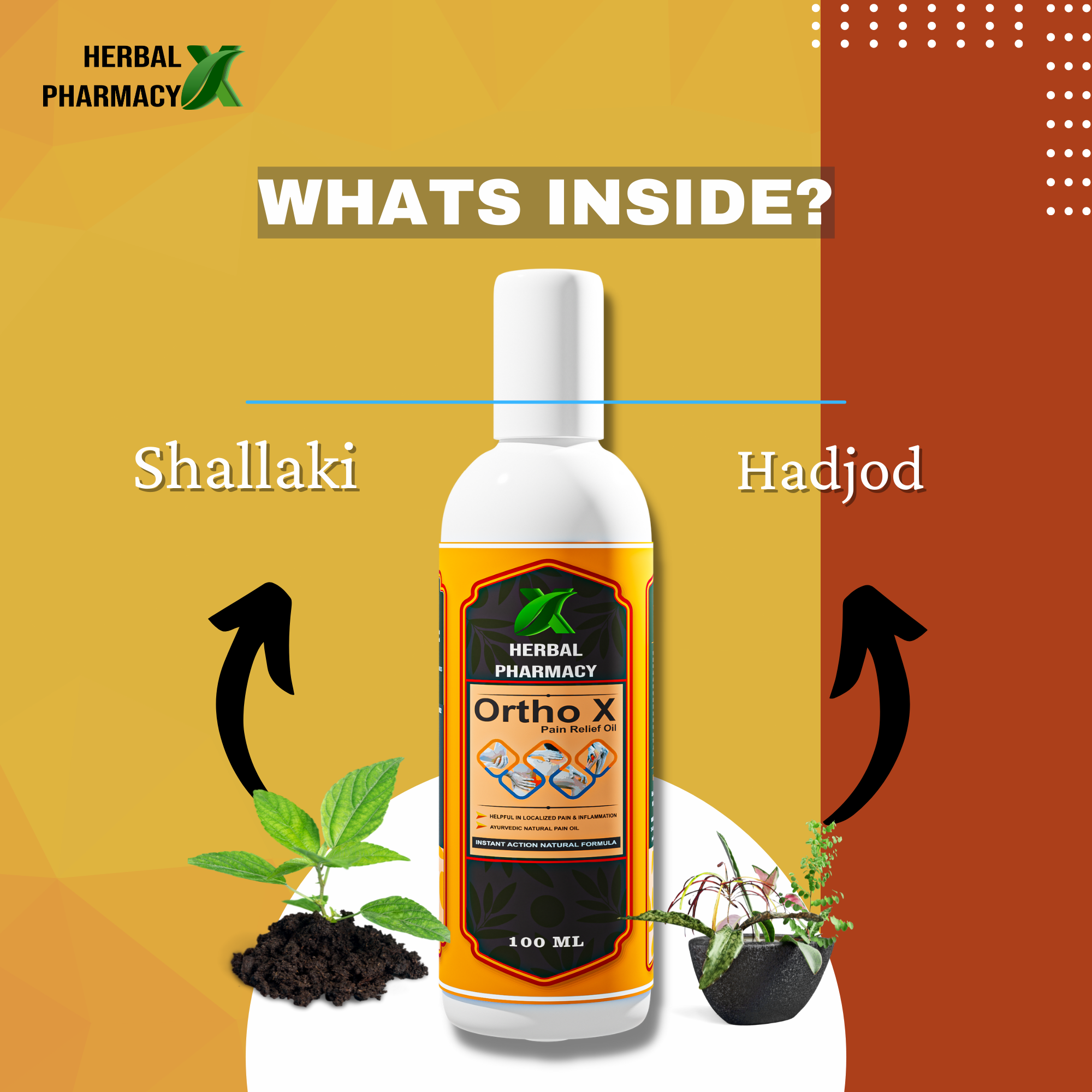 Herbal Pharmacy Ortho-X Pain Relief Oil, Fast Relief Muscle Pain Oil, Joint Pain Relief Oil, Arthritis Pain Relief Ayurvedic Pain Oil | Shallaki, Hadjod, and Mahanarayan Oil | 100 Ml